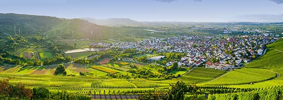 Franken Weinberge mit kleinem Tal im Hintergrund