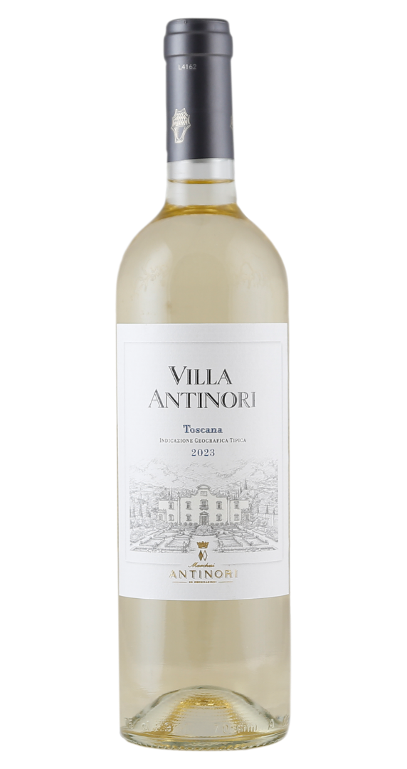 Villa Antinori Bianco 2023 Marchesi Antinori Meravino DE